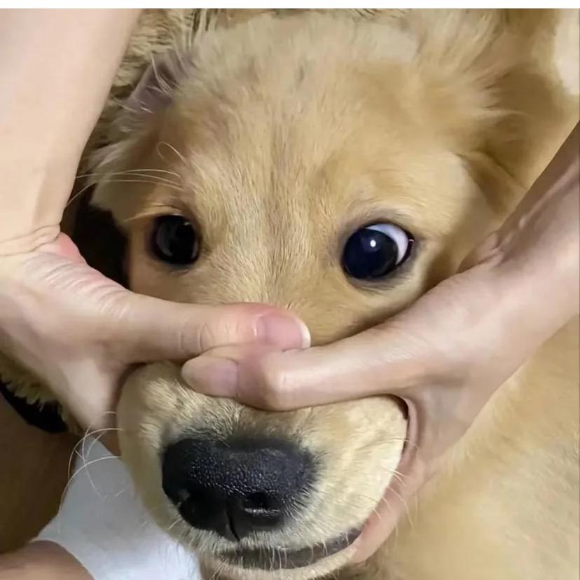 小马宝莉（pony）