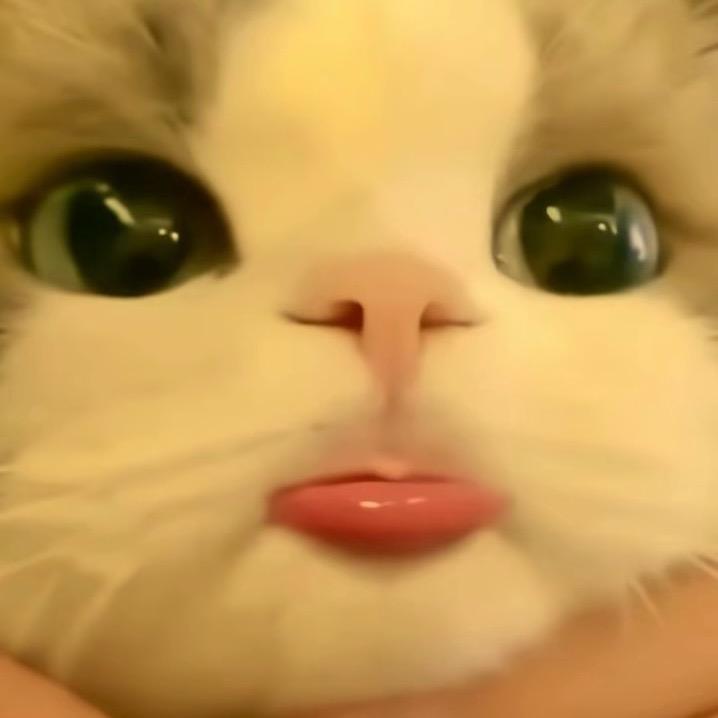 小 ネф̶ イω