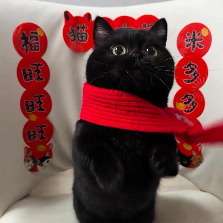 🌈遇见幸运