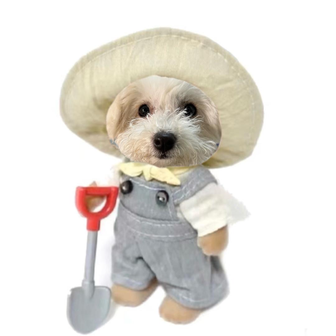 忧郁的红色猪肝