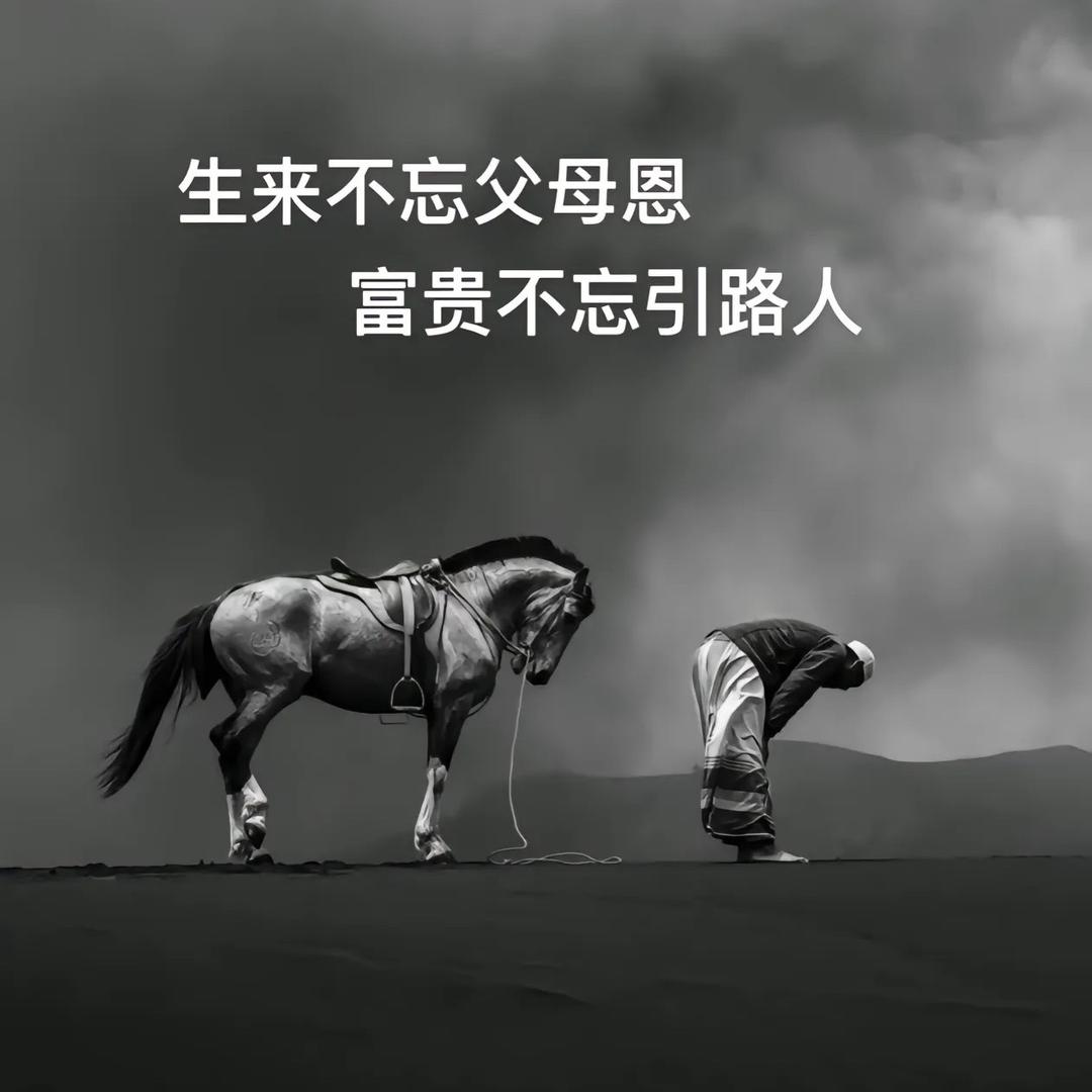 墙缝中的蚂蚁