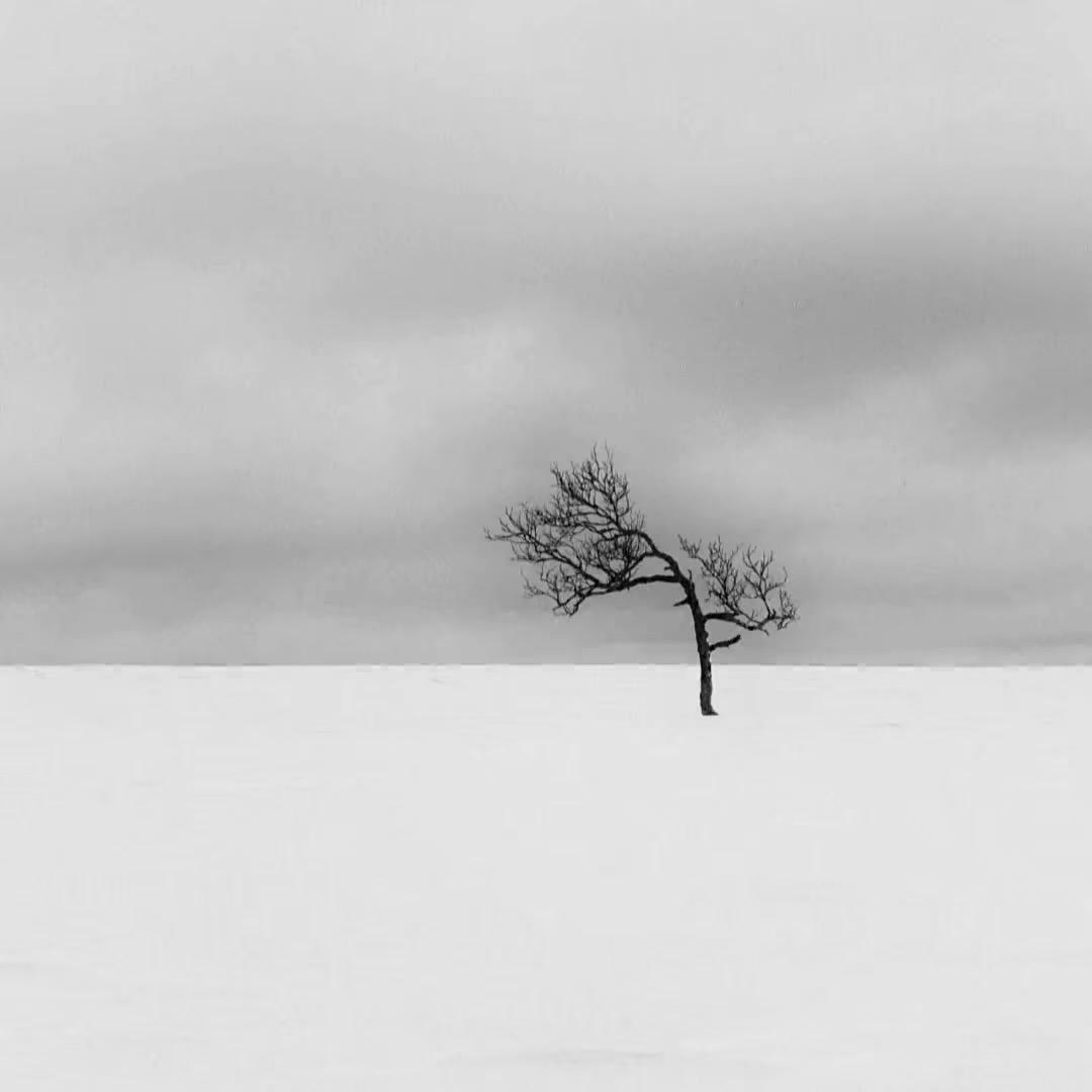 11ㅤㅤㅤㅤㅤㅤ