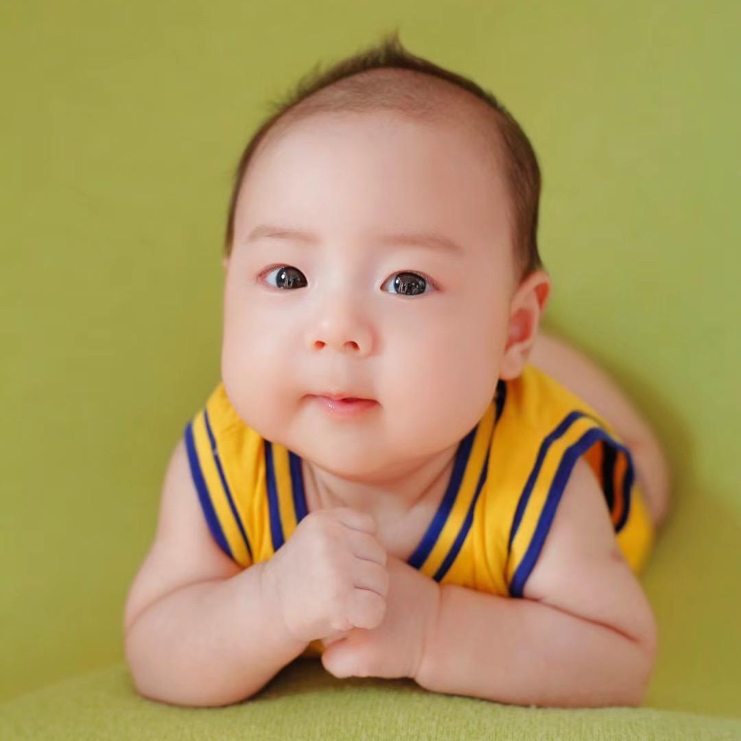 诗迪小白羊