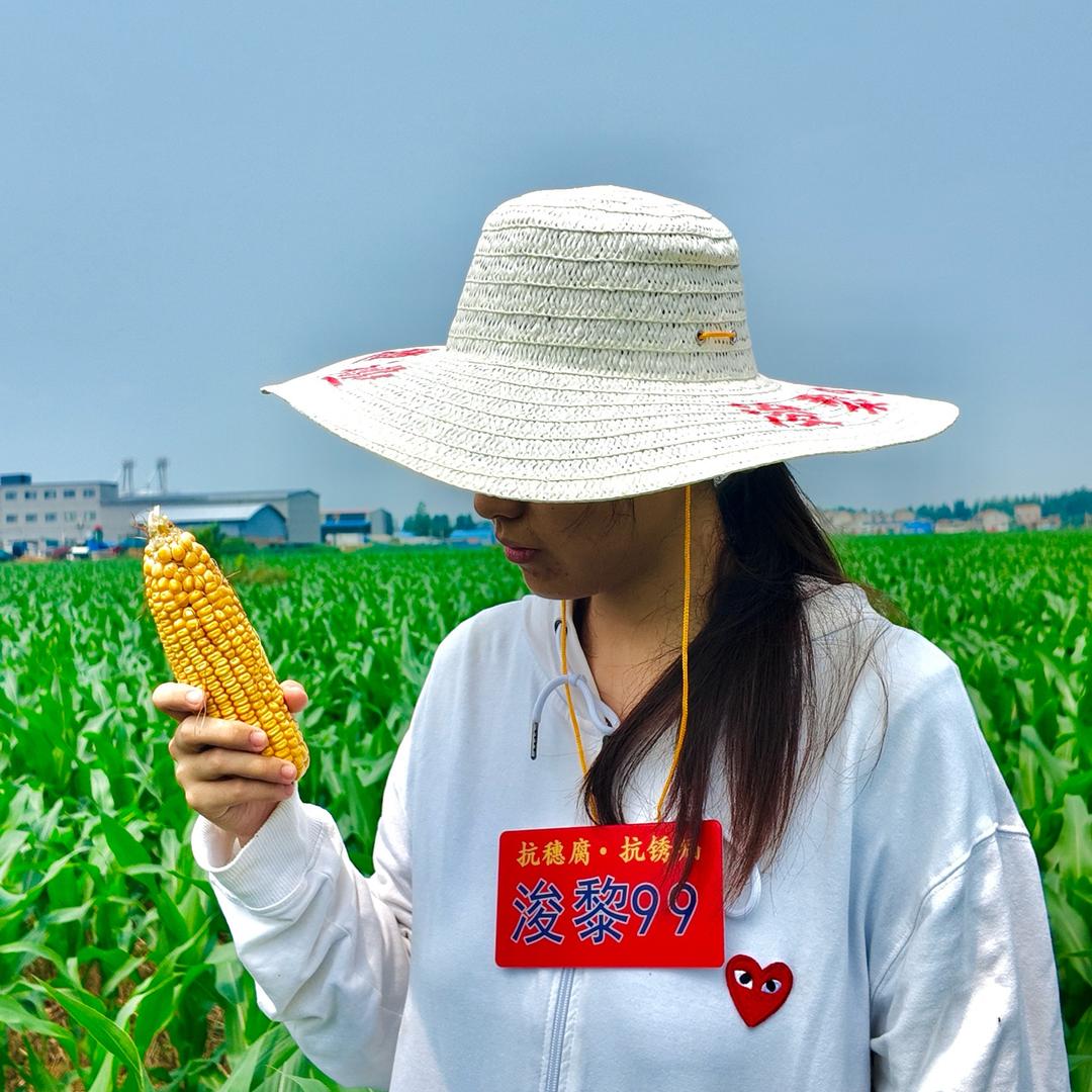 商道种业毛毛老师