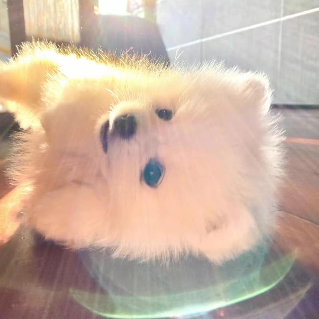 🦴悠uuuuuuuu