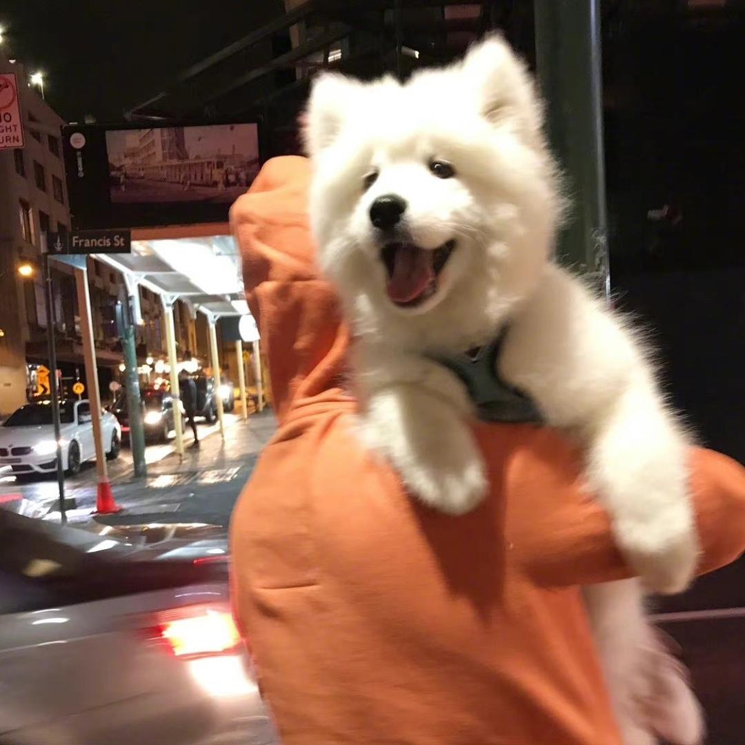 哈哈你也真是的