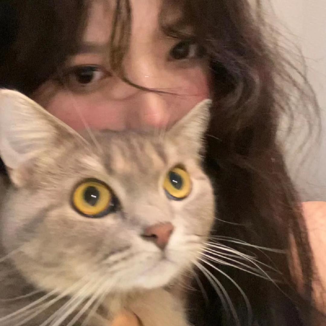 糊了☕️（带娃中）