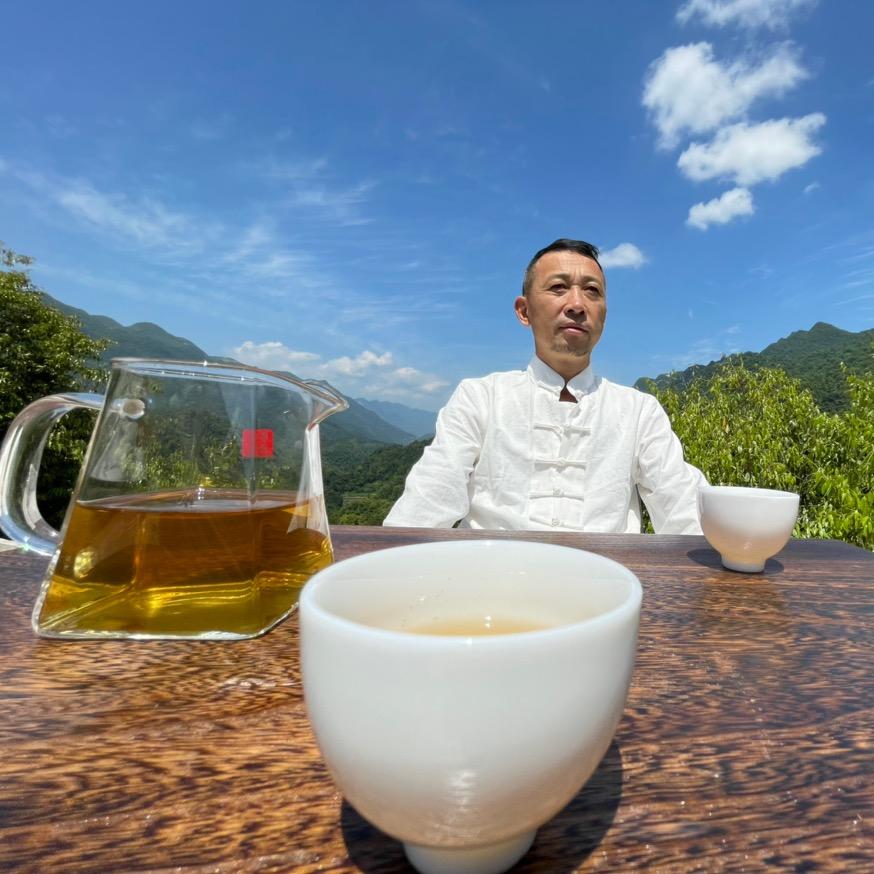 古树茶老袁