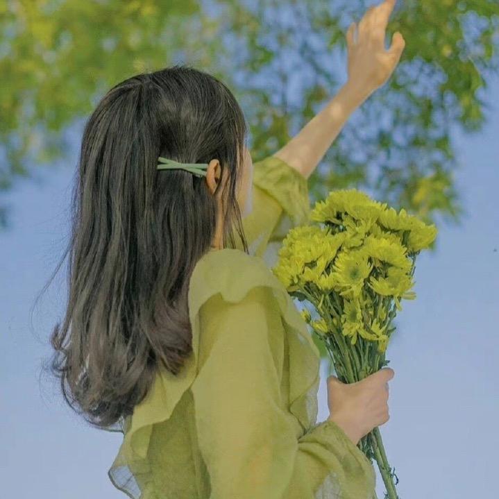 小菠菜