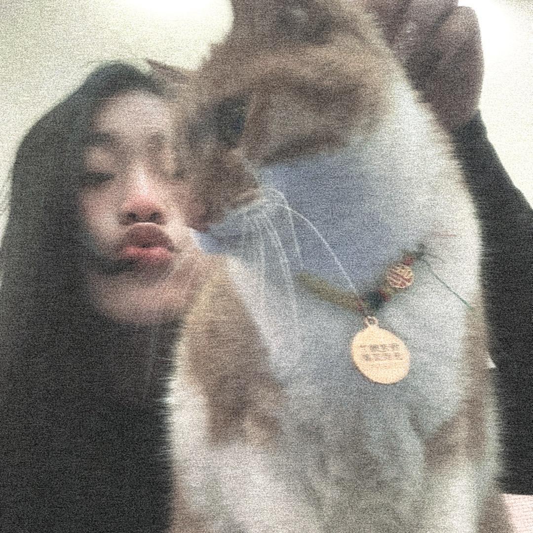 腼腆小美.
