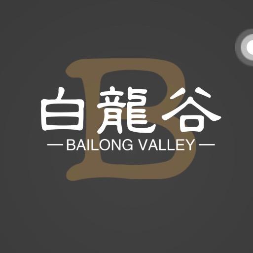 武夷山白龙谷茶业