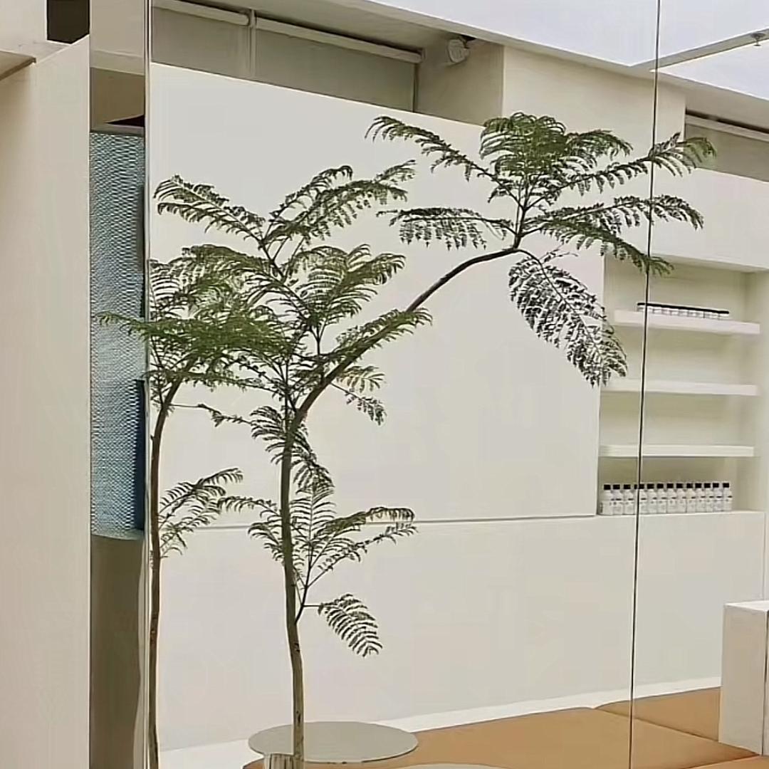 仟艺绿植园艺
