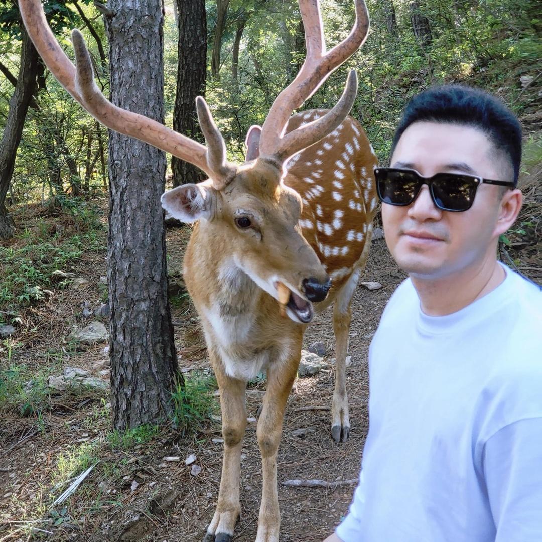铁血狂潮