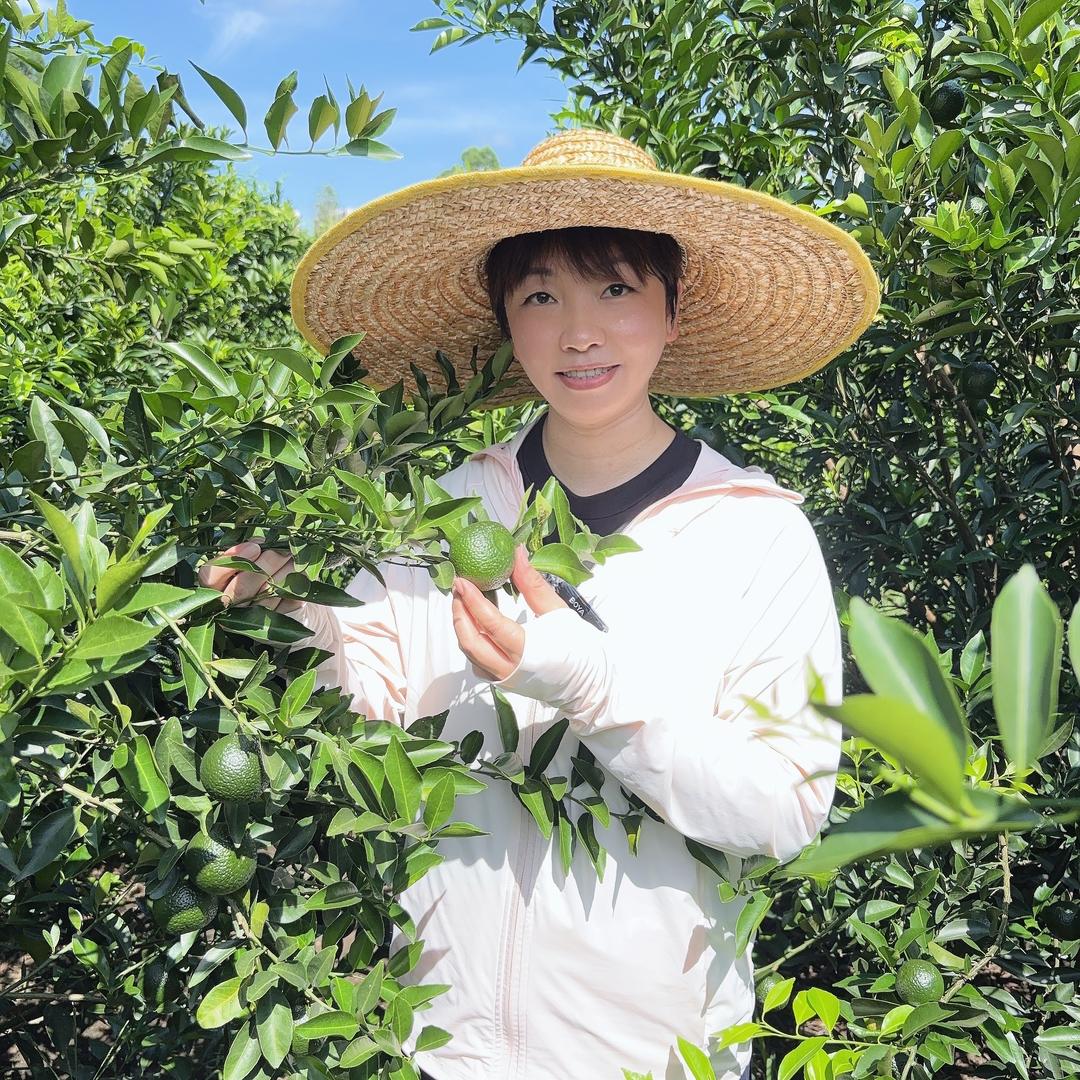 麦好野陈皮宣宣