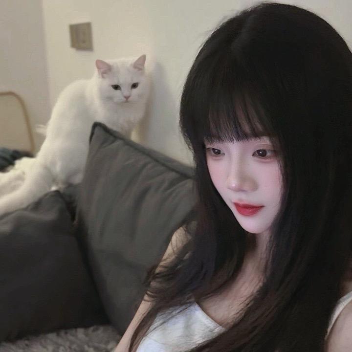 征❤️不好购车无套路