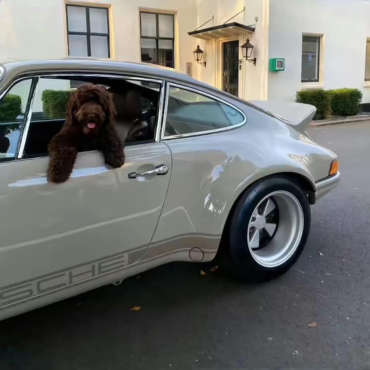 济南小龙二手车