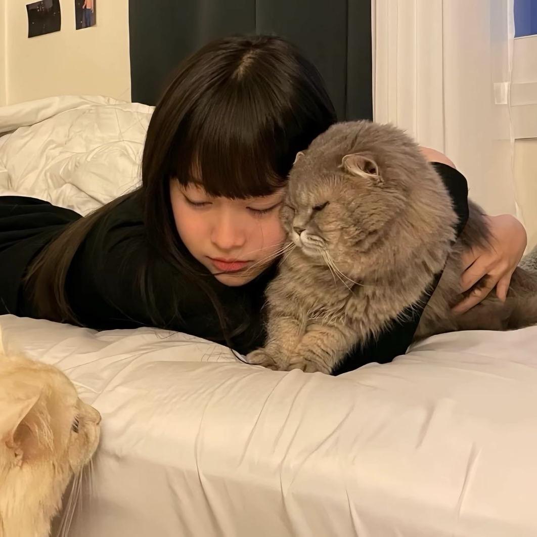 值得就继续.
