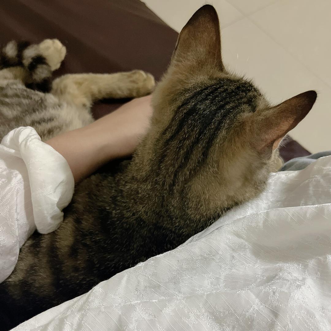 YR᭄এ