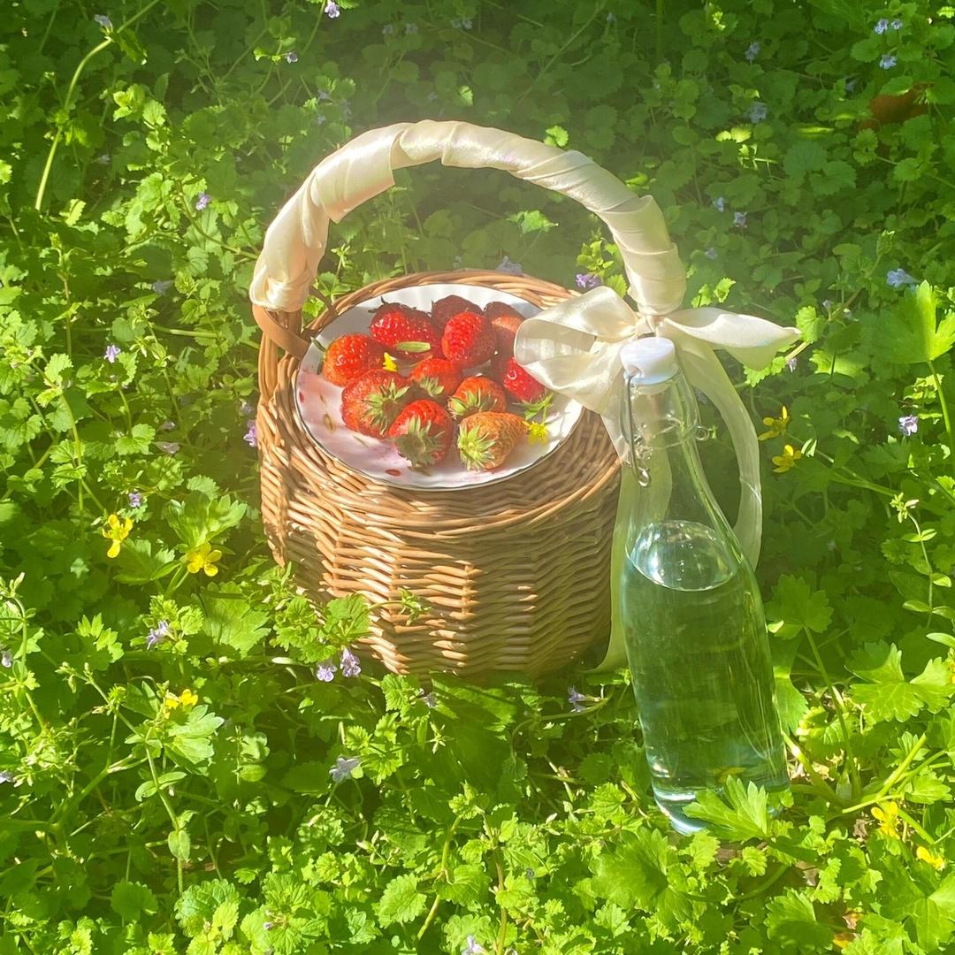 大米饭泡菜汤(收徒）🌈
