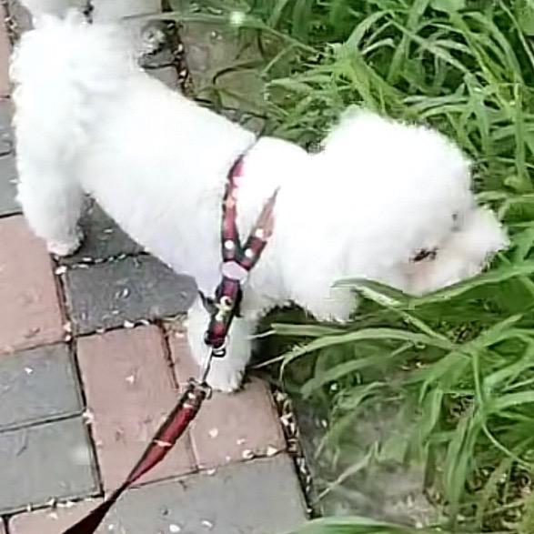 ☄️六十八吖
