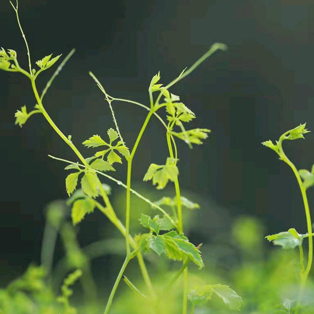 【哲思哲语】-阿哲说