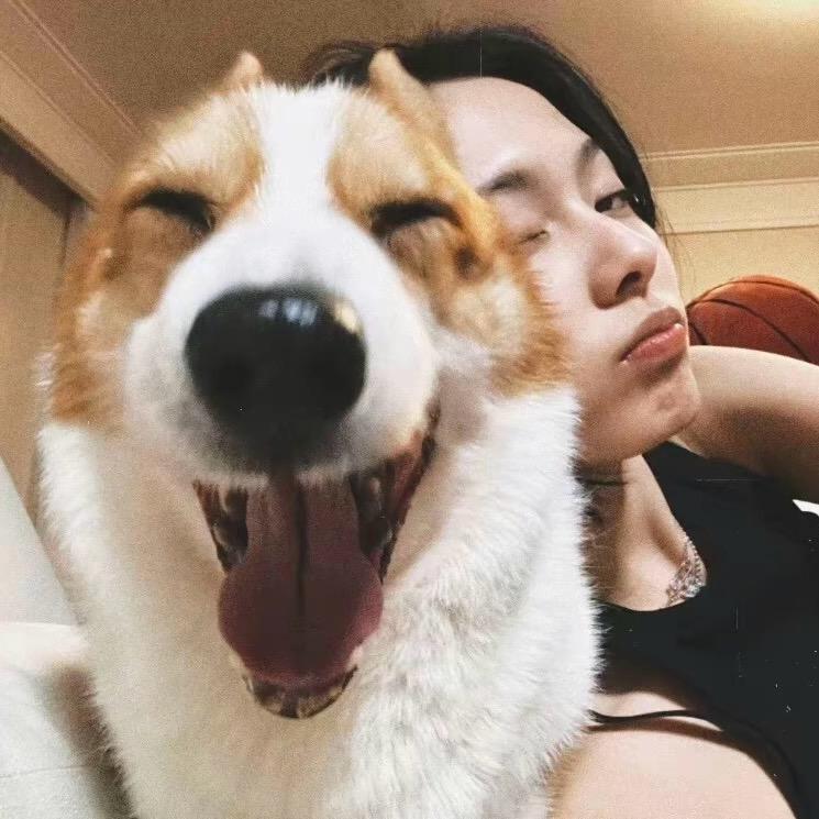ㅤㅤ乐