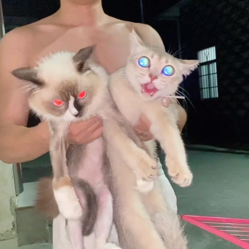 波比