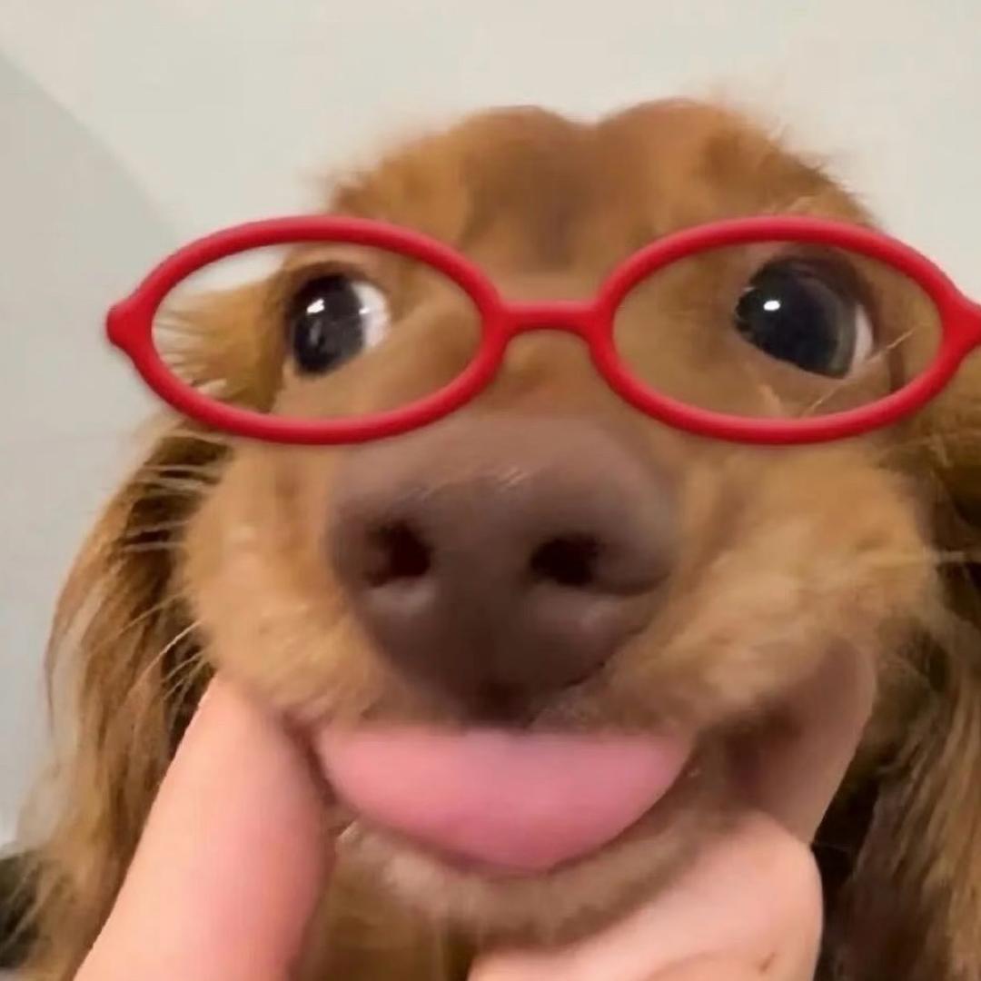 爱喝柚子茶