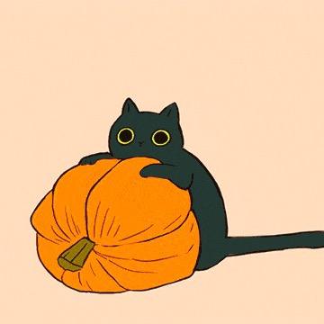 时间SIM卡