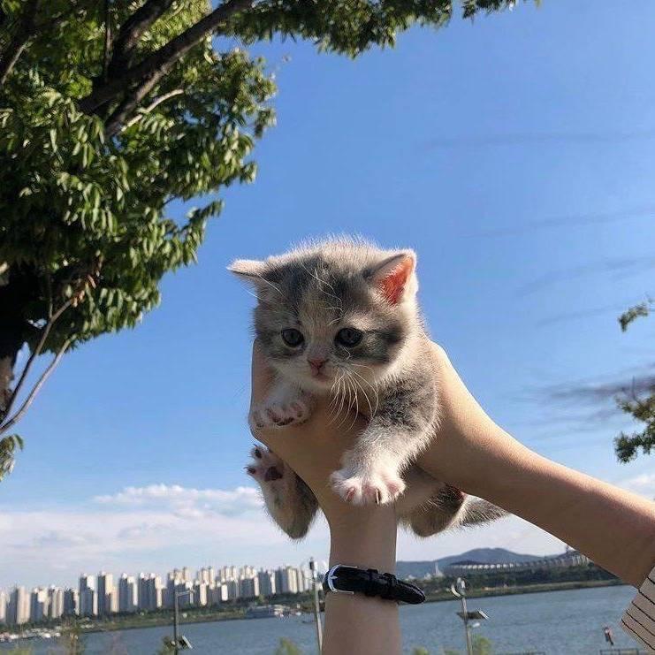 问春风