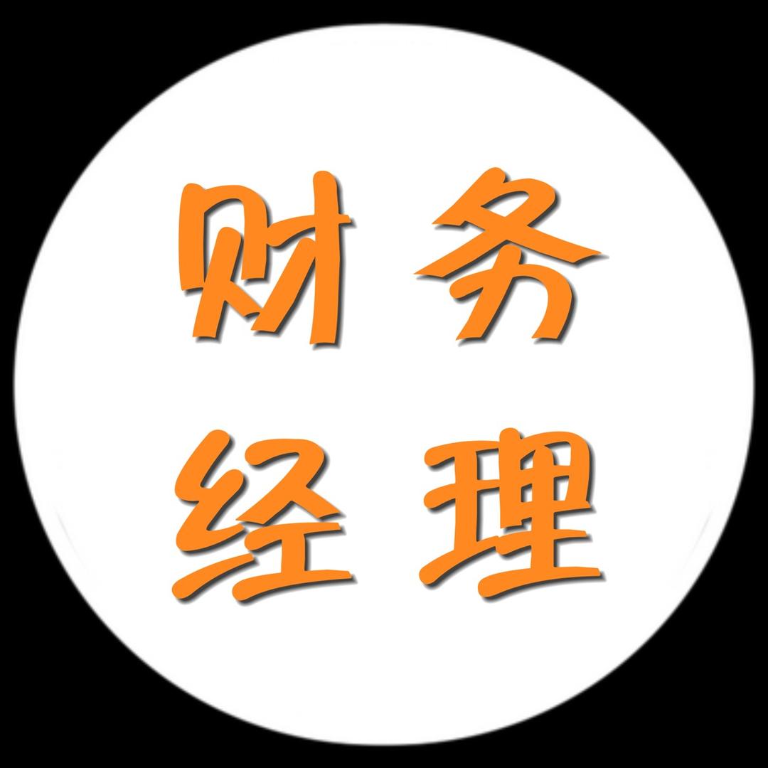 财务实战派