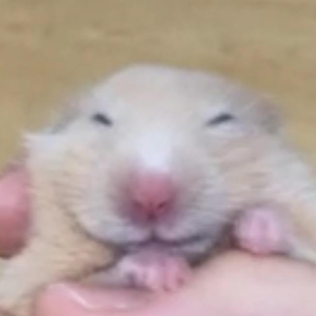 首府味