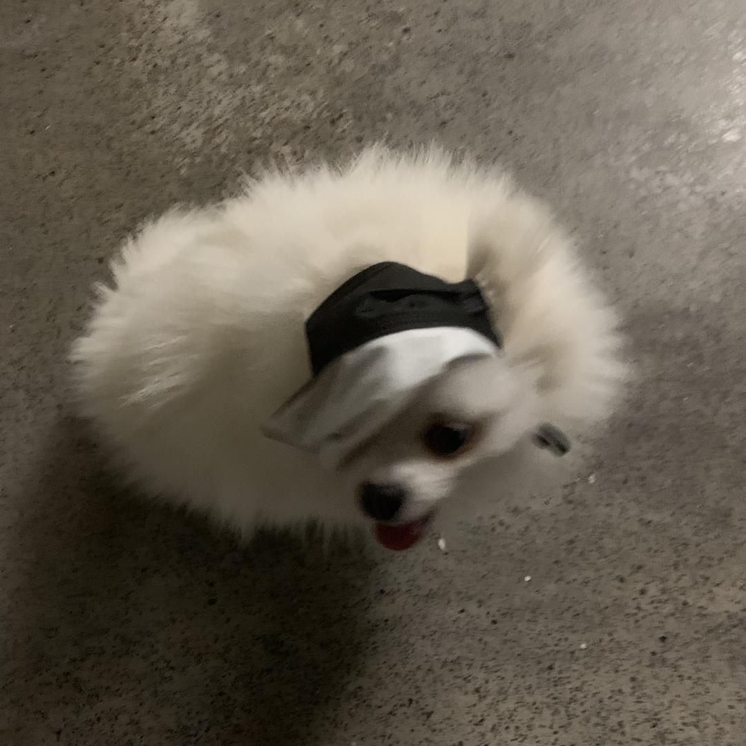 海不是烸