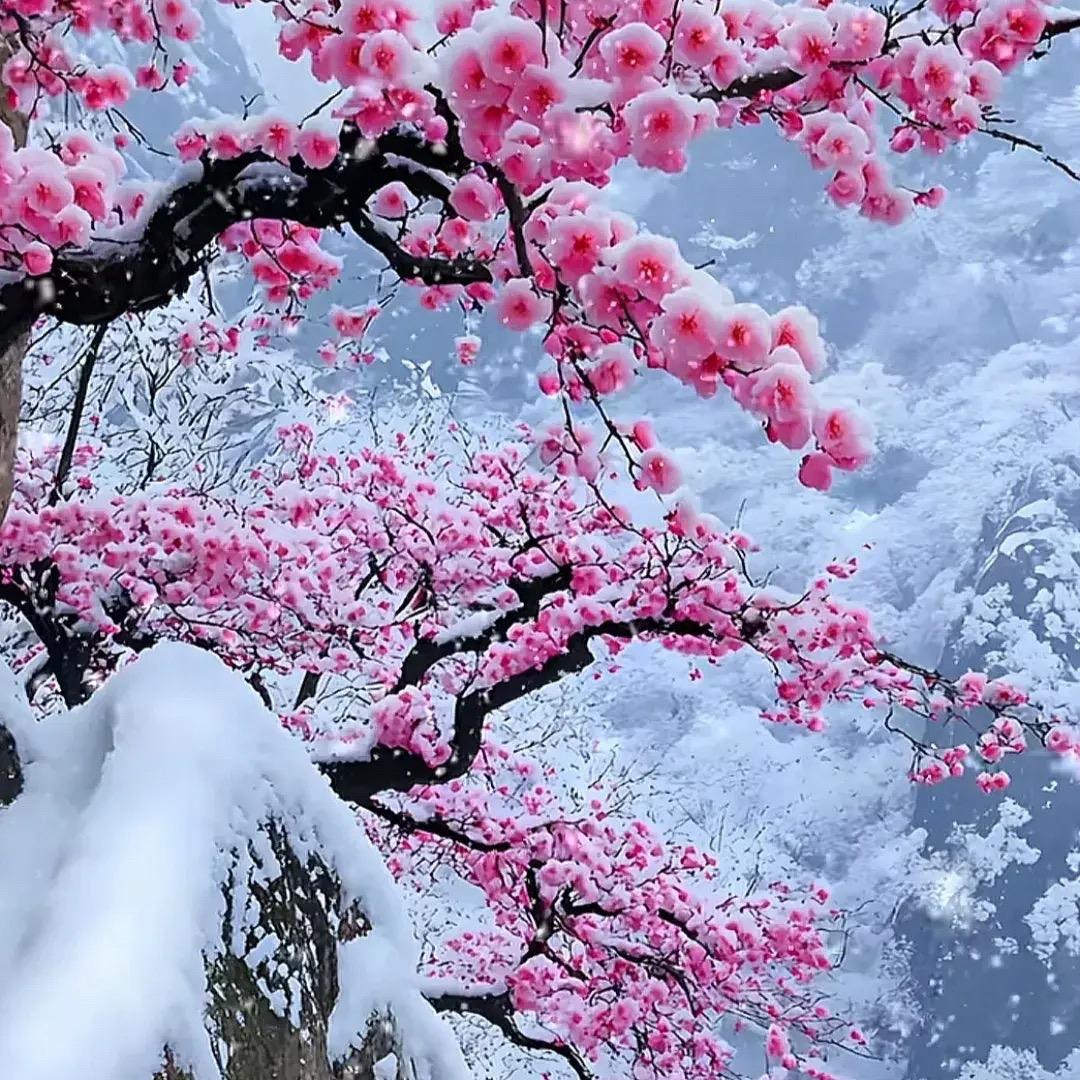 识于，始于，适于，誓于。