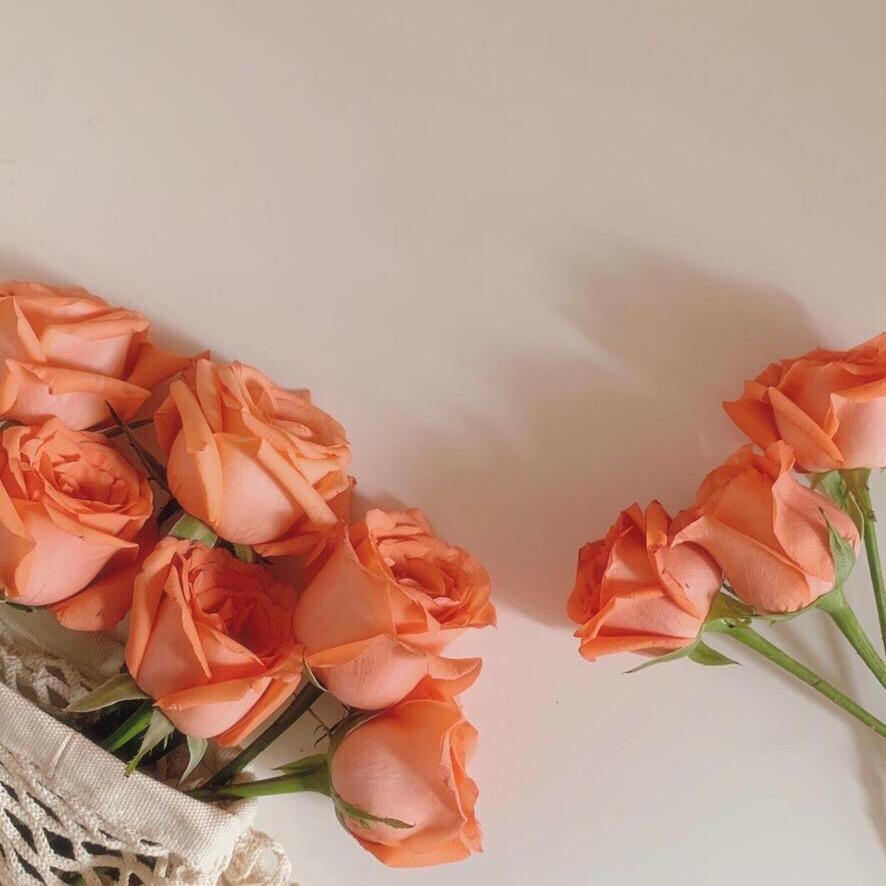 方小驴💋（格局）