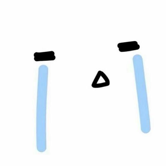 爱吃冰的橙子🧊