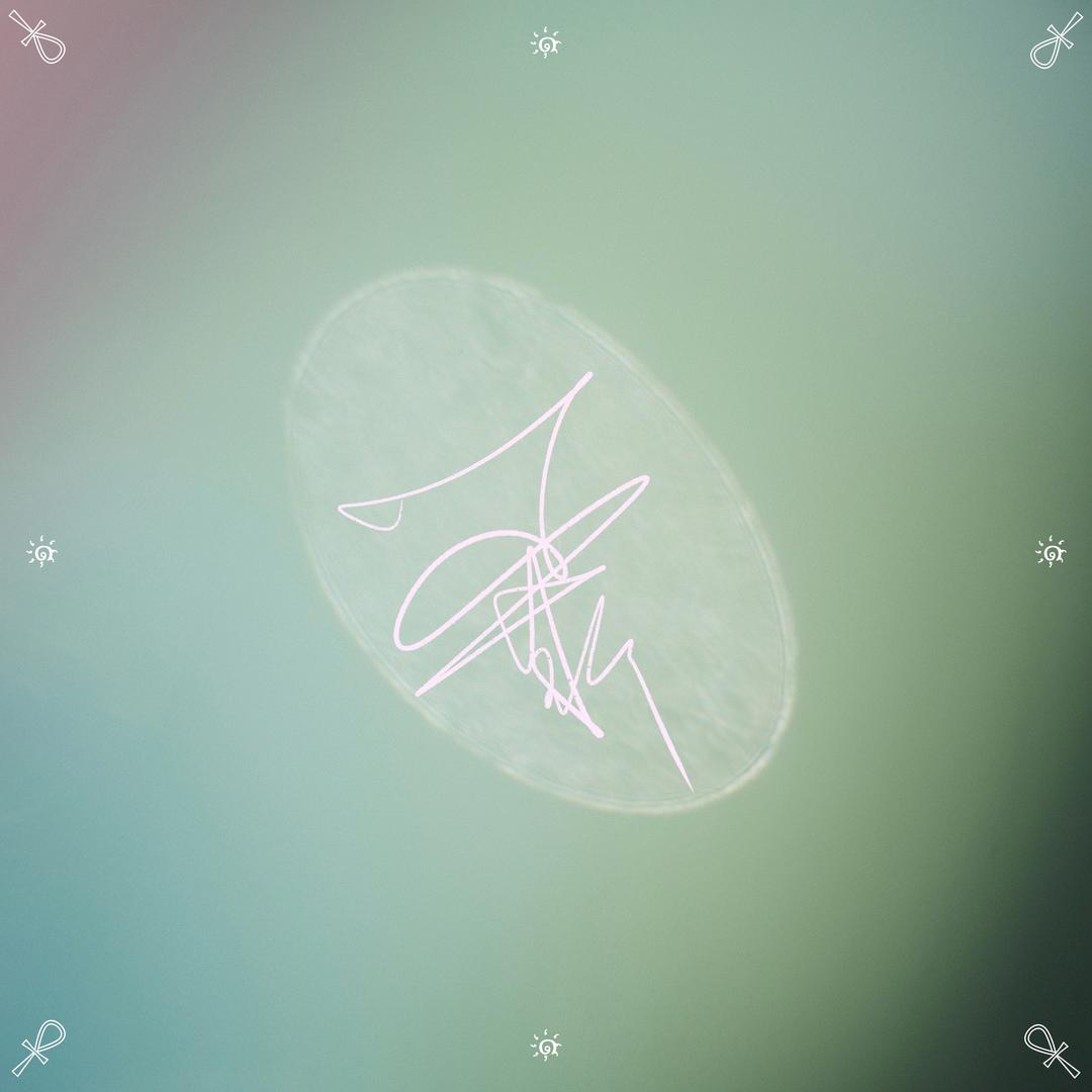 杰斯晶石｜孤品集