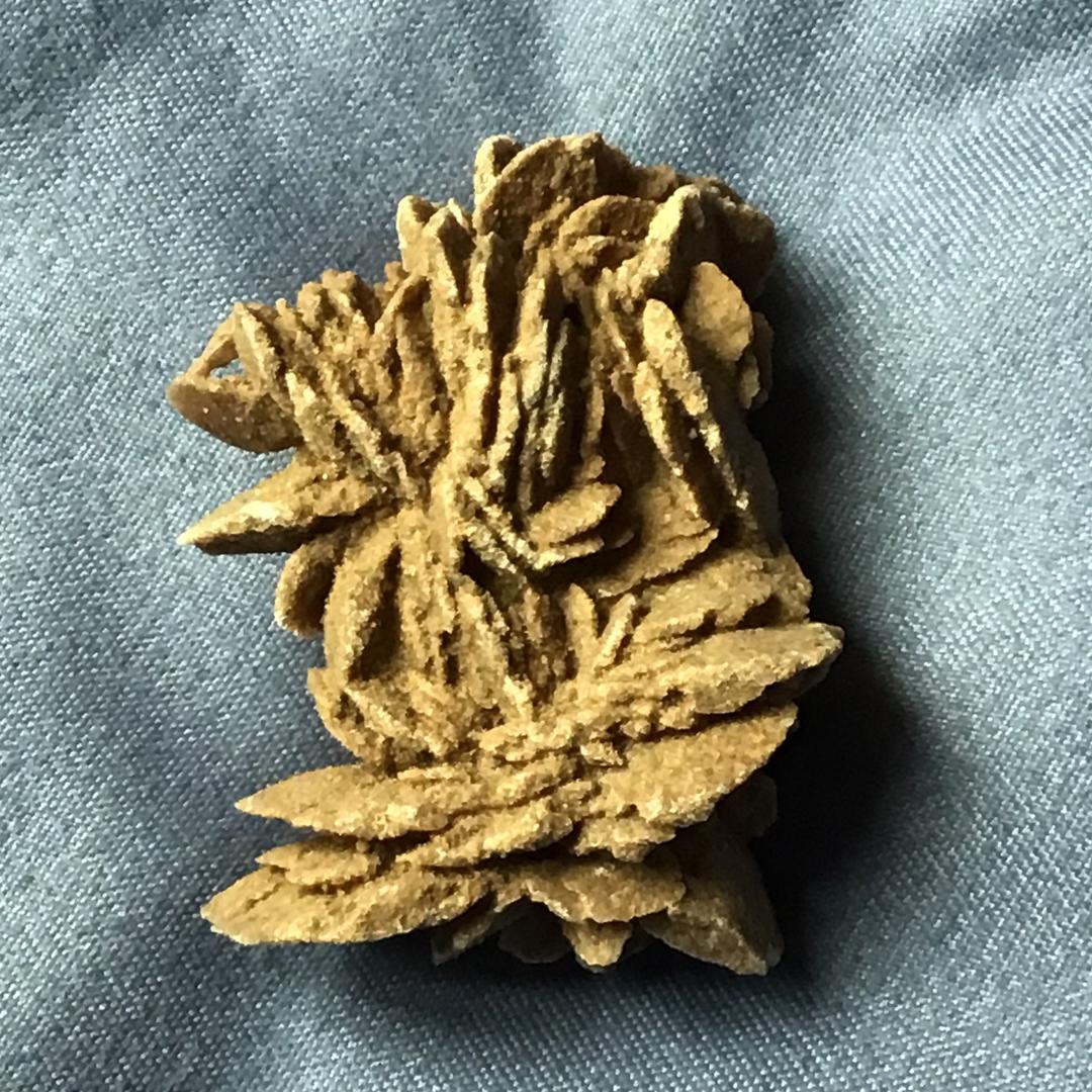 曹英