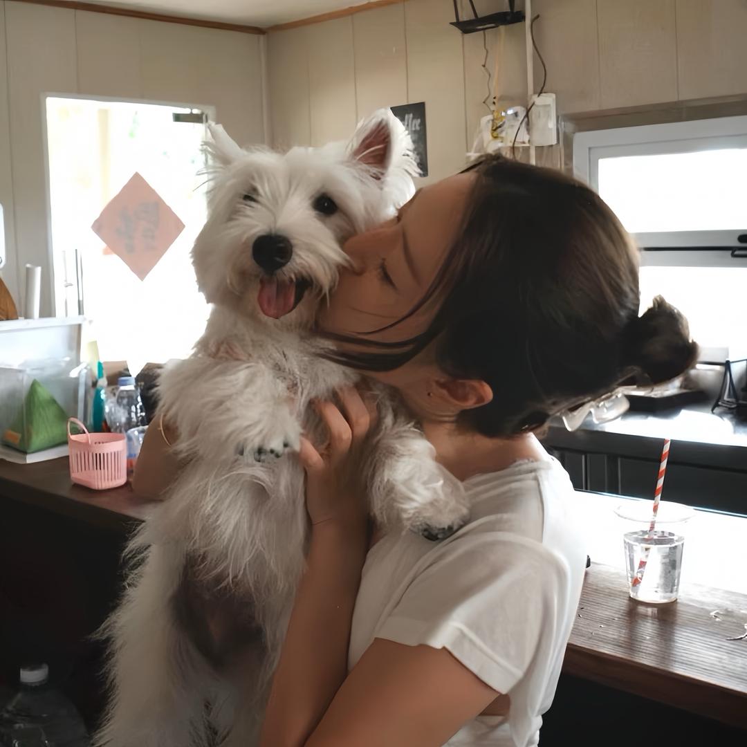 忧郁的我66