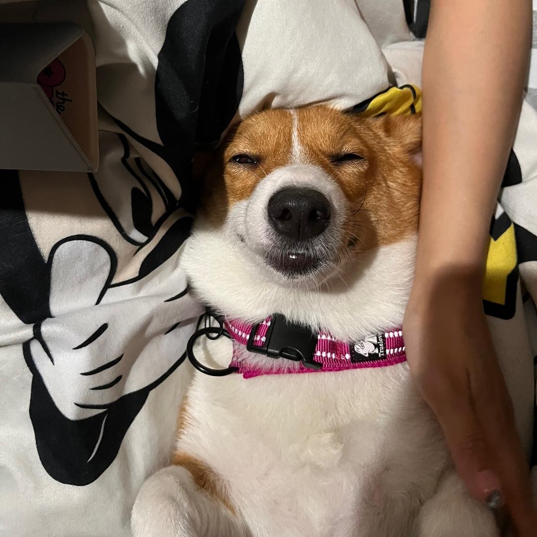张瑞波
