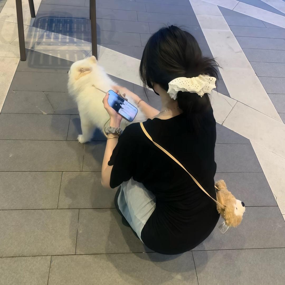 🐾