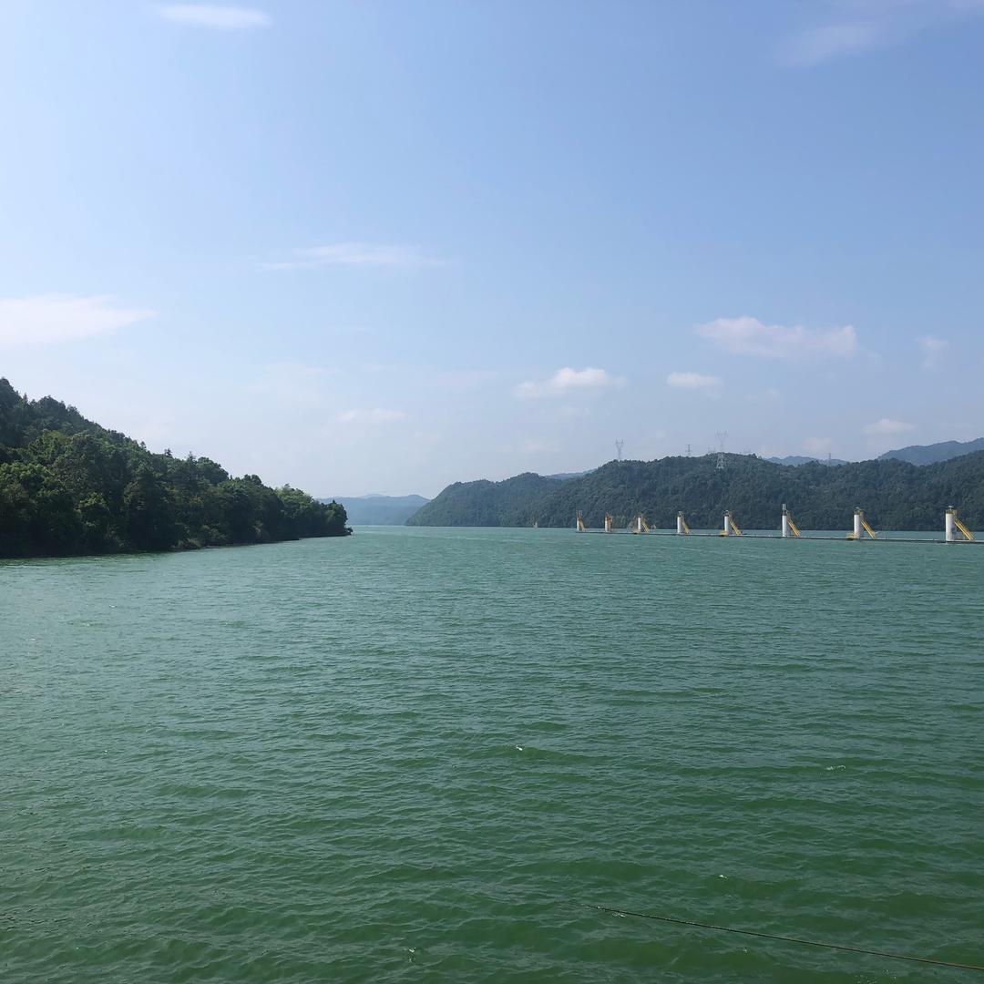 大师兄