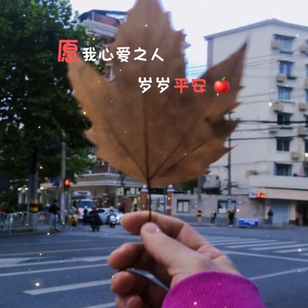 静41_116