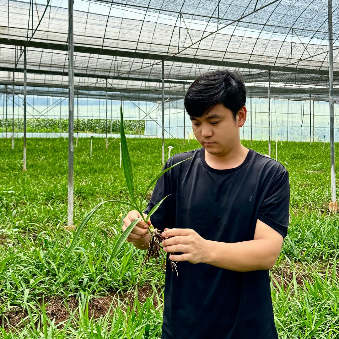 普洱阜安生物科技有限公司