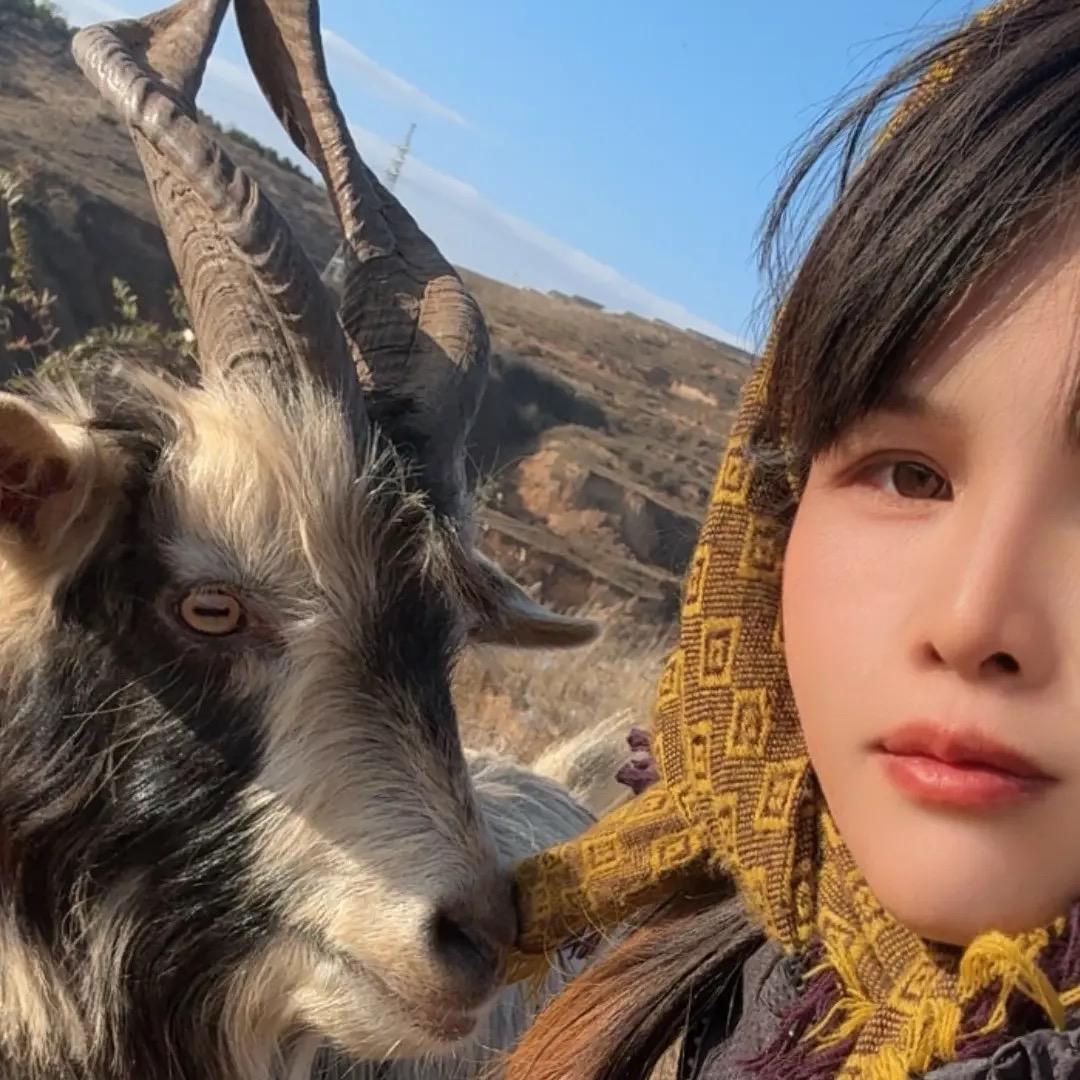 放羊阿姨