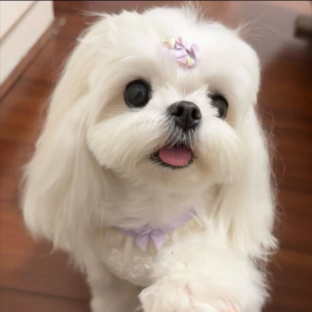 小熊萌萌宠2️⃣