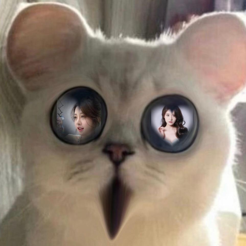 老舅娱乐