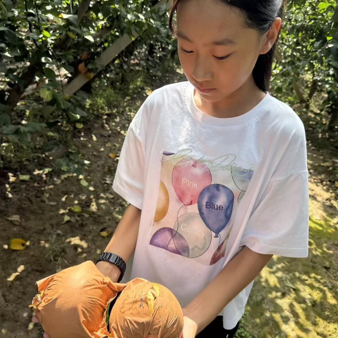 彬荔水果