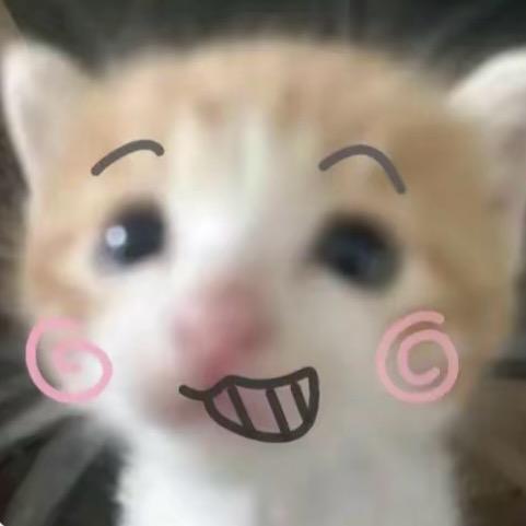 呆帝