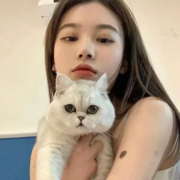 QwQ